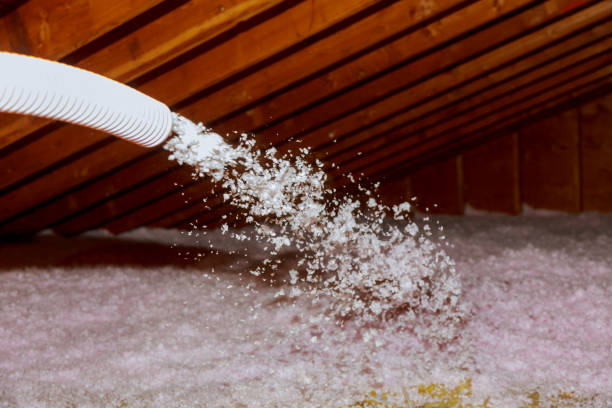 Best Spray Foam Insulation  in Deltona, FL