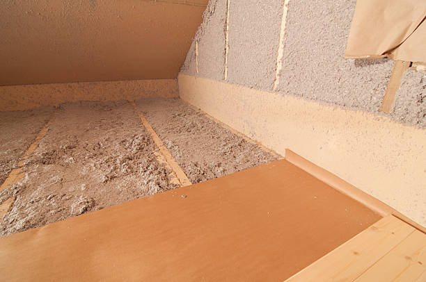 Best Insulation Repair Services  in Deltona, FL