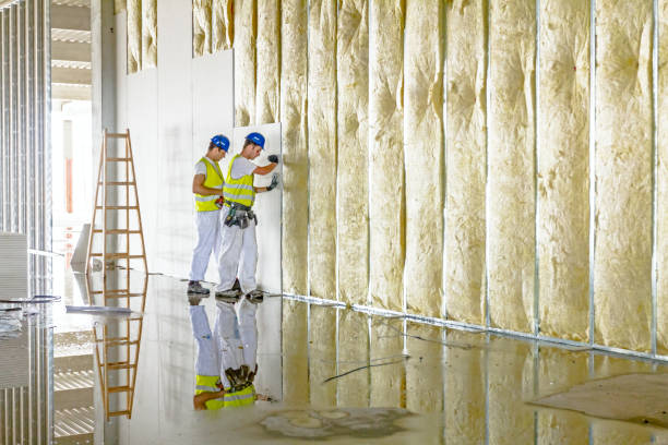 Best Fiberglass Insulation  in Deltona, FL